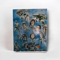 P&Aring; filmens vingar. Flygfilmens historia i ord och bild.