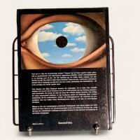 &Ouml;vernaturligt : om spekulationer och forskning kring paranormala m&auml;nskliga fenomen