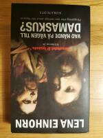 Vad h&auml;nde p&aring; v&auml;gen till Damaskus? : p&aring; spaning efter den verklige Jesus fr&aring;n Nasaret