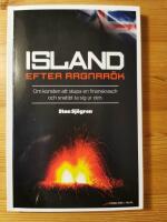 Island efter Ragnar&ouml;k : om konsten att skapa en finanskrasch och snabbt ta sig ur den