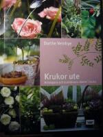 Krukor ute : Arrangera och kombinera v&auml;xter i kruka