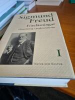 F&ouml;rel&auml;sningar : orientering i psykoanalysen