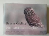 Fantastiska f&aring;glar