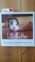 LOL-katter : bilder p&aring; gulliga och rrroliga katter fr&aring;n internet