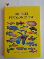Tropiske ferskvandsfisk