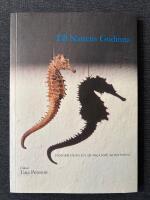 Till nattens gudinna, s&aring;nger fr&aring;n en sjunkande kontinent