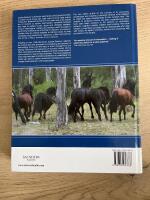 Equine Behavior : A Guide for Veterinarians and Equine Scientists