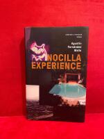 Nocilla experience