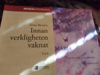 Innan verkligheten vaknat , Maria, 