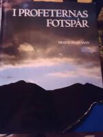 I profeternas fotsp&aring;r