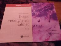 Innan verkligheten vaknat , Maria, 