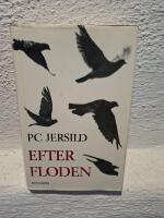 Efter floden