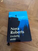 Livsfarlig utsikt : roman