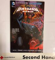 Batman and Robin Vo 1 Born to kill
