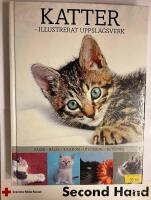 Katter - illustrerat uppslagsverk