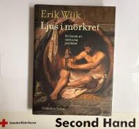 Ljus i m&ouml;rkret - ett f&ouml;rs&ouml;k att n&auml;rma sig j&auml;mlikhet