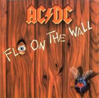 Fly On the Wall
