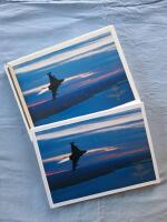 [Boken om] flygvapnet : 1926-2001