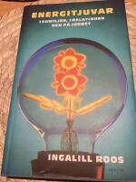 Energitjuvar : i familjen, i relationen och p&aring; jobbet