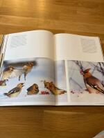 Att &ouml;verleva dagen