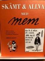 Sk&auml;mt och allvar med MEM