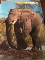 Animals of the World Africa