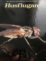 Husflugan