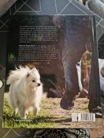 Familjehunden : valp och vuxen