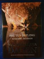 Att &ouml;verleva dagen : om f&aring;glars sinnen och anpassningsf&ouml;rm&aring;ga