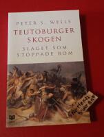 Teutoburgerskogen : slaget som stoppade Rom