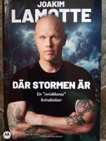 D&auml;r stormen &auml;r : en "swishhoras" betraktelser