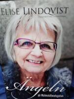 &Auml;ngeln p&aring; Malmskillnadsgatan