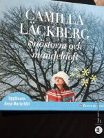 Snöstorm och mandeldoft (Ljudbok)
