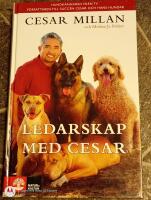 Ledarskap med Cesar