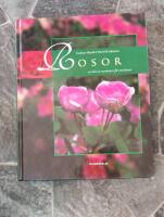 Rosor