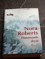 Flammande skyar - roman
