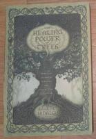 Healing power of trees - spiritual journeys through the celtic tree calenda