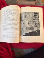 Bibeln som litteratur 