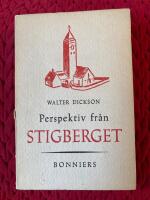 Perspektiv fr&aring;n Stigberget