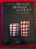 Mellan m&ouml;rker och ljus : Erik H&ouml;glunds 80-tal