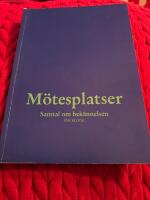 M&ouml;tesplatser : samtal om bek&auml;nnelsen
