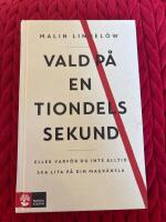 Vald p&aring; en tiondels sekund : Eller varf&ouml;r du inte alltid ska lita p&aring; din magk&auml;nsla