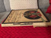 Ni Si Pleng - En historia om svarta barn ber&auml;ttad och ritas f&ouml;r vita barn