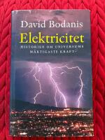 Elektricitet : Historien om universums m&auml;ktigaste kraft