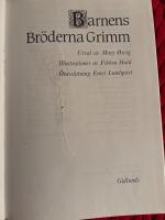 Barnens br&ouml;derna Grimm