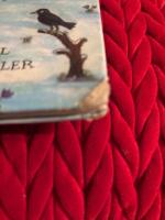 Herr Pinnemans &auml;ventyr