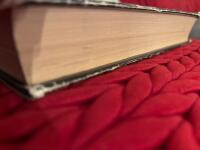 K&auml;pp i hjulet : [spionroman]