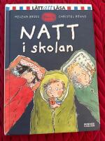 Natt i skolan