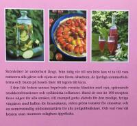 Stora boken om god och billig mat