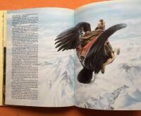 Krigare, gudar & andar fr&aring;n de central- och sydamerikanska indianernas mytologi